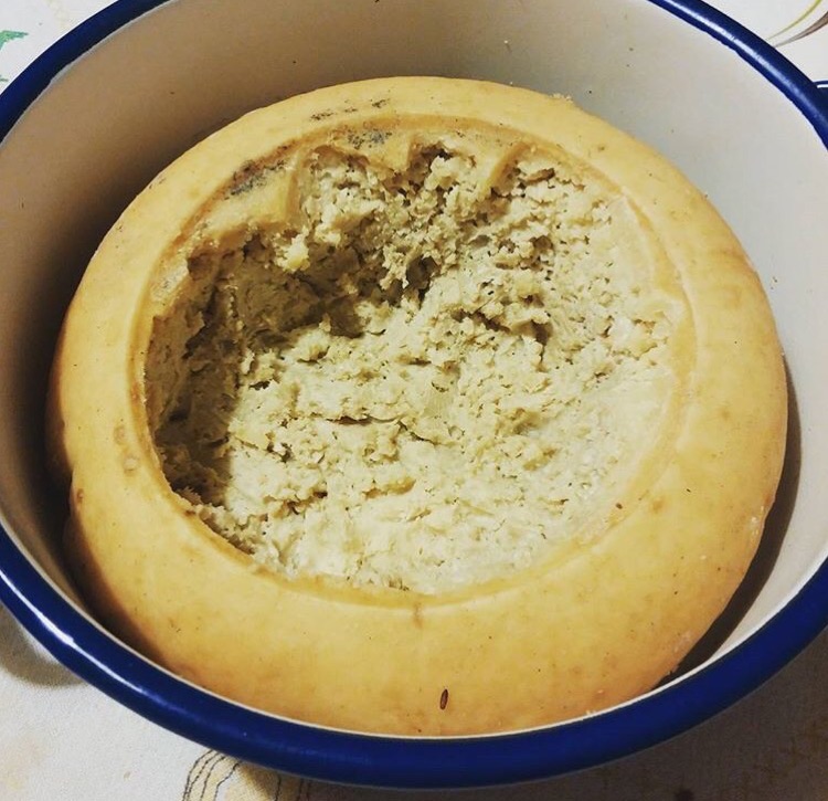 casumarzu:奶酪长毛发霉了以后还能吃吗?