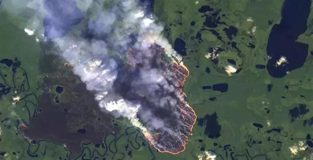 亚马孙森林大火持续燃烧16天:亚马逊森林大火灭了吗？
